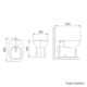 Vaso Sanitário Com Acessórios De Instalação E Assento Termofixo Debba Café Roca - 0afcc04d-2c28-4daf-8dd5-ae3bc3b73076