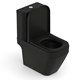 Vaso Sanitário Com Caixa Acoplada e Assento Térmico Prime Black Matte Incepa - 059662a1-a619-4422-9e50-4e32ed168df8