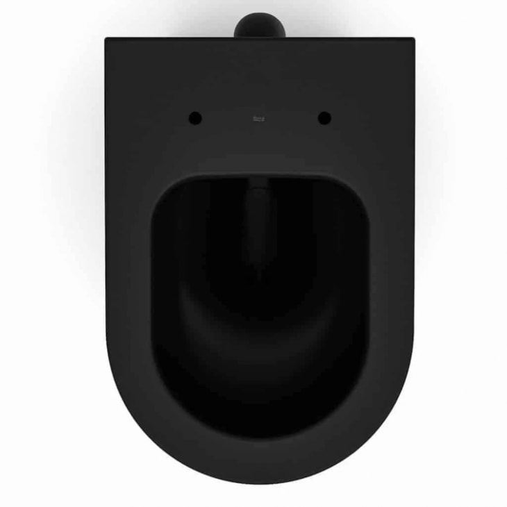 Vaso Sanitário Convencional Nexo Matte Black Roca