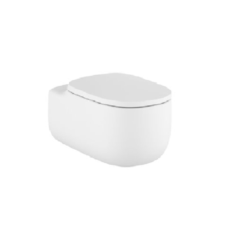 Vaso Sanitário  Suspenso Rimless Beyond Black Matte Roca